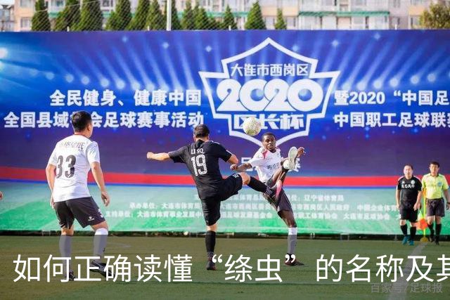 如何正确读懂“绦虫”的名称及其背后的知识